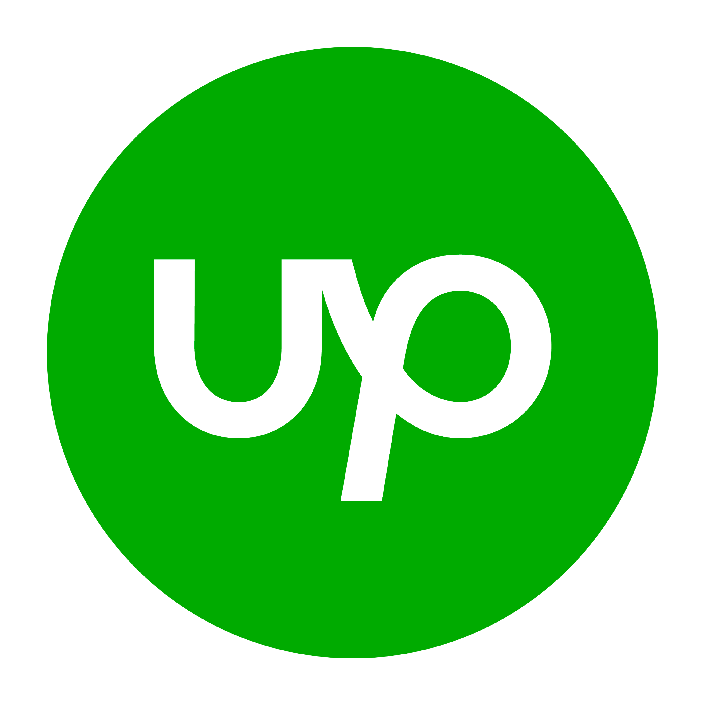 Upwork (Freelance)